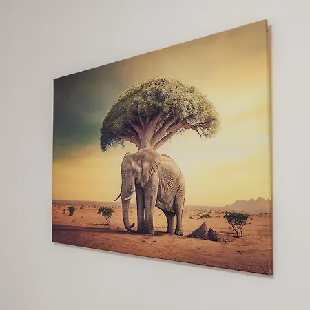 Appartement Kupelna *